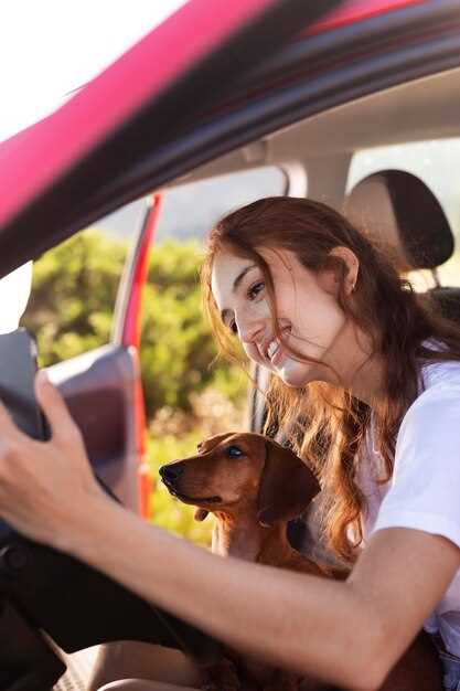 Strategies for a Comfortable Car Ride with Pets: Travel Tips