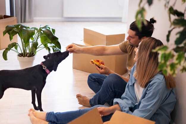 Relocating with Pets and a Car – What to Do